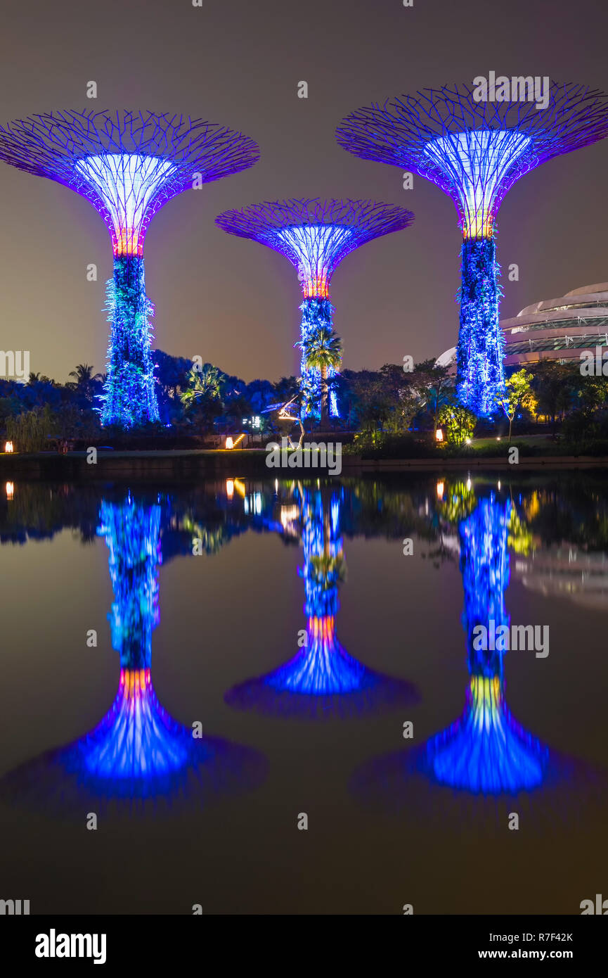 Supertrees, Gärten an der Bucht im Wasser in der Nacht widerspiegelt, Singapur Stockfoto