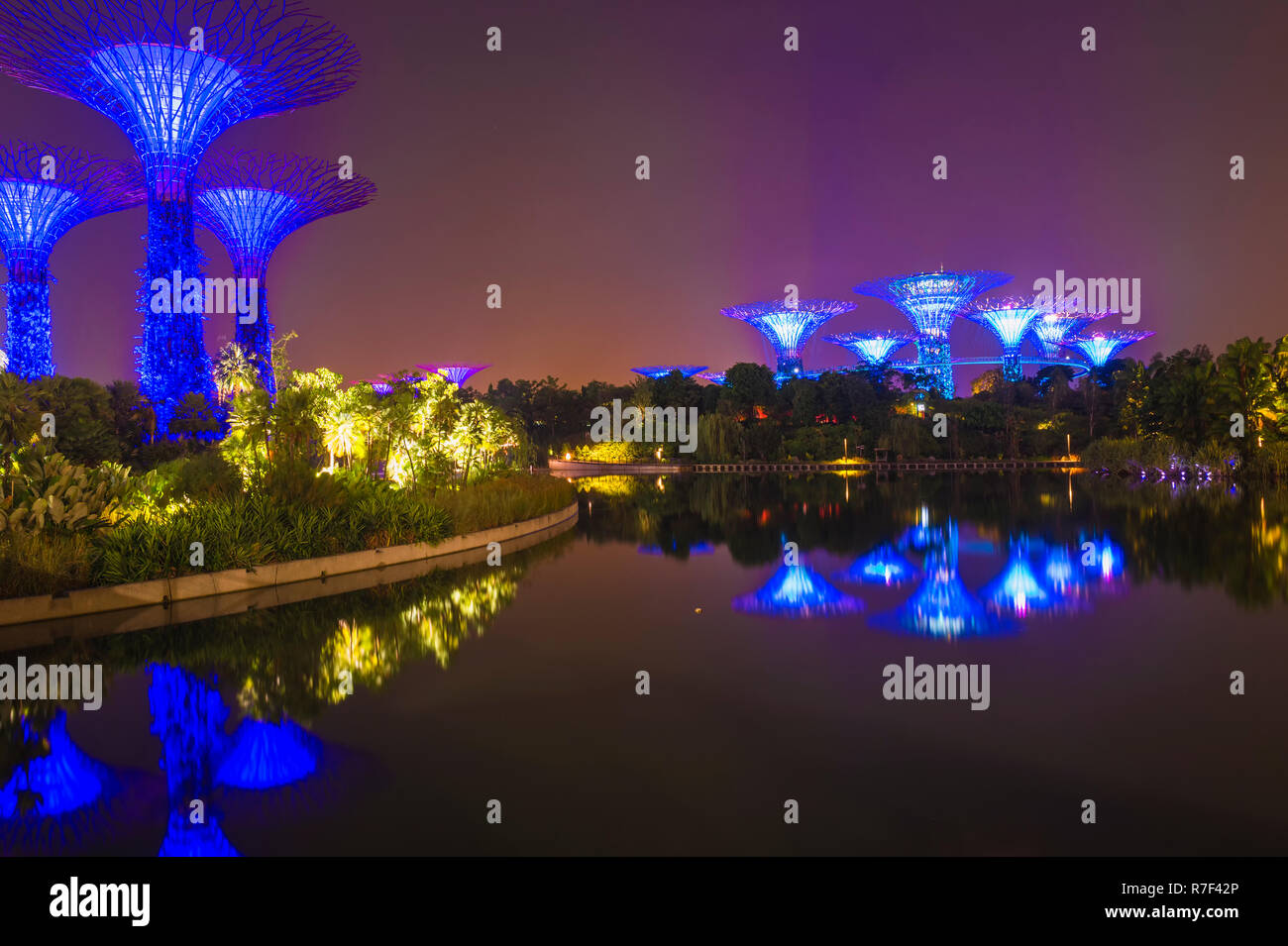 Supertrees, Gärten an der Bucht im Wasser in der Nacht widerspiegelt, Singapur Stockfoto
