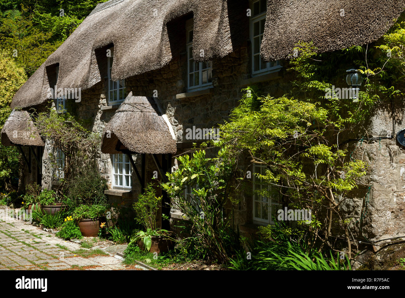 Typisches Haus in der Dartmoor, Buckland im Moor, den Dartmoor Nationalpark, Devon, England Stockfoto