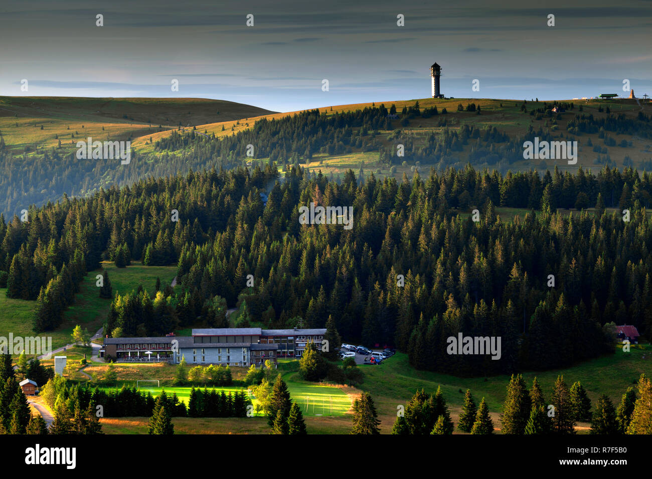 Blick vom Herzogenhorn zum Feldberg, Feldberg, Schwarzwald Stockfoto