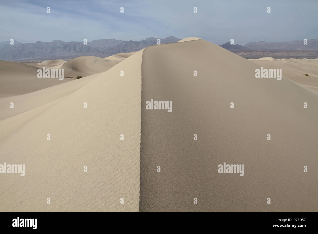 Wind ausgeblasen gemusterten Sand Ridge unter Sand dune Feld Stockfoto