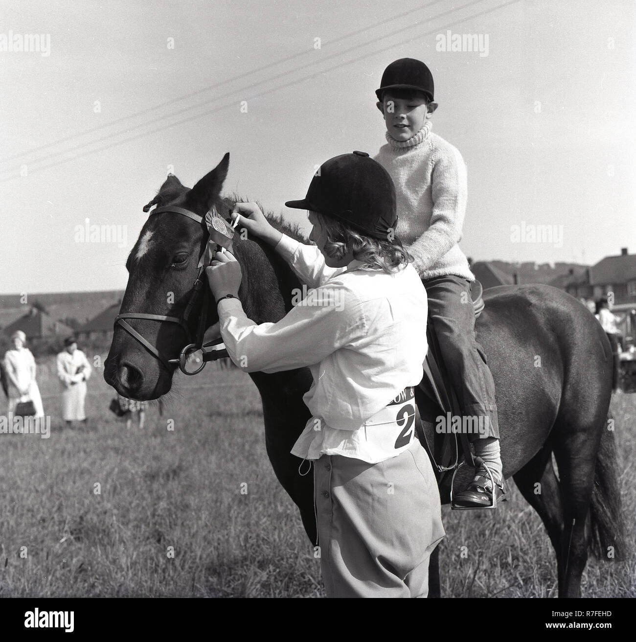 1964, eine Junge Dame den Kopf Band auf einem jungen Pferd passt an einer im eventing treffen, England, UK. Stockfoto