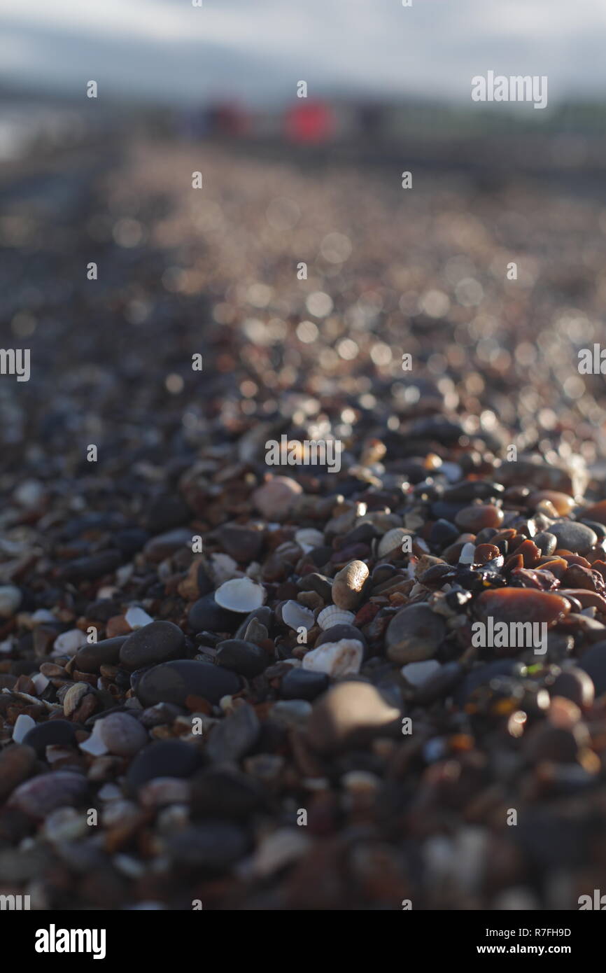 Sea Side Muster in Sheerness/Kent, Dezember Steine und Muscheln am Strand Stockfoto