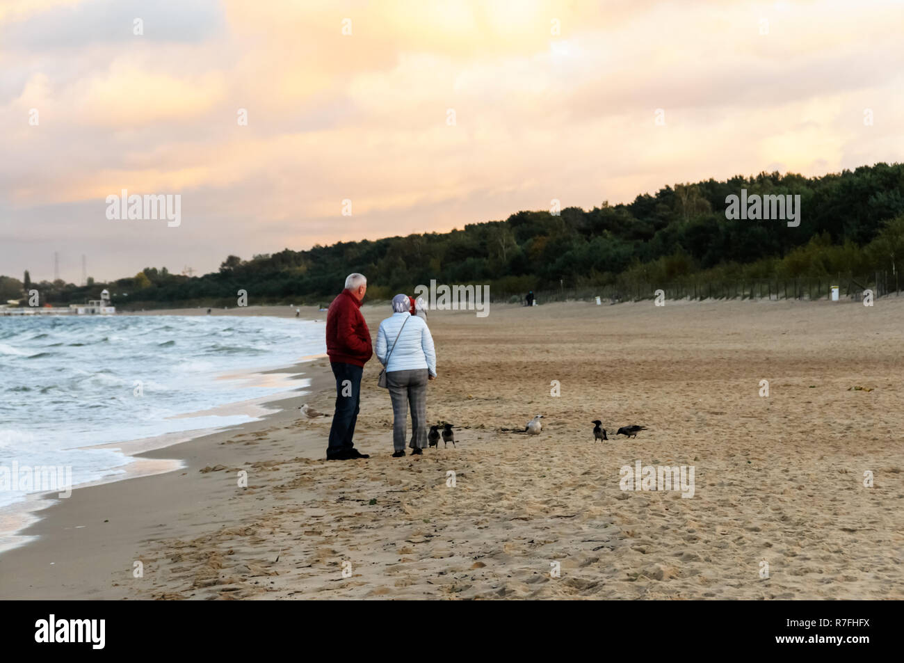 Alter für Zwei. Spaziergang am Meer, Frau, Mann und Hund Stockfoto