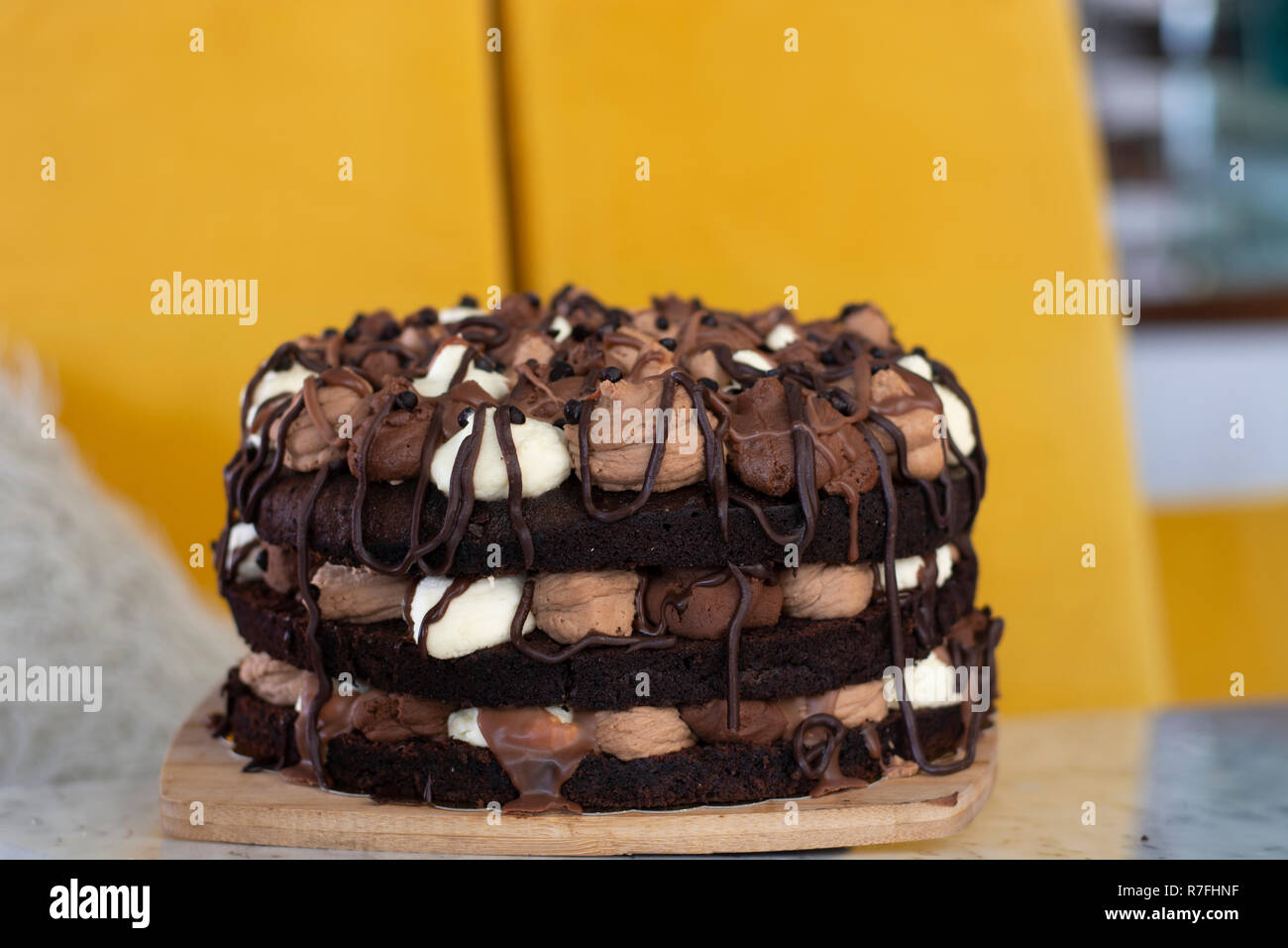 Mousse au chocolat Torte mit Layer mit weißer, Milch und dunkle Schokoladenmousse mit gelbem Hintergrund Stockfoto