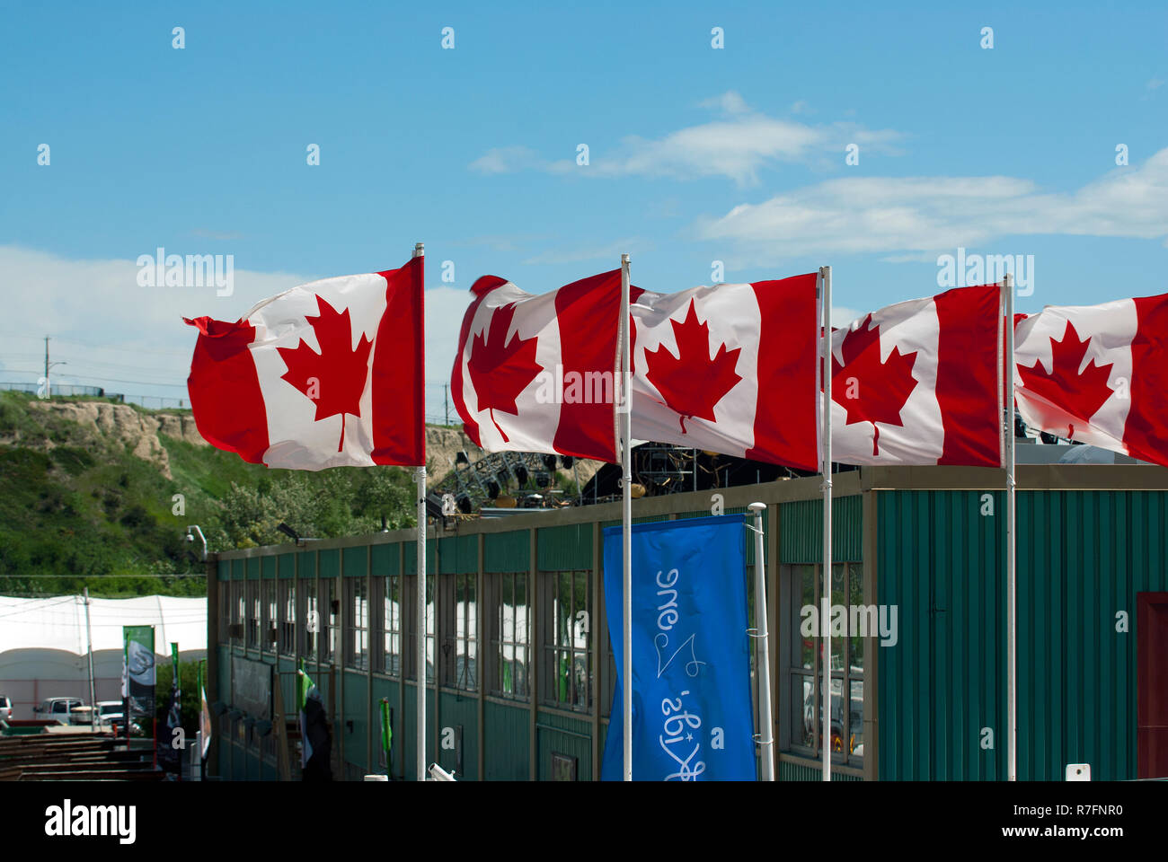 Kanadische Flaggen in Calgary, Alberta, Kanada Stockfoto