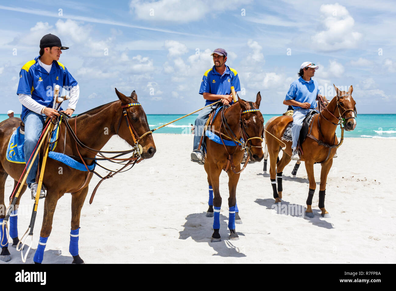 Miami Beach Florida, Polo World Cup Matches, Sport, Turnier, Reitsandfeld, hispanischer Mann Männer Erwachsene Männer, Pferd, Pony, Bräutigam, Trainer, Wandern, Stockfoto