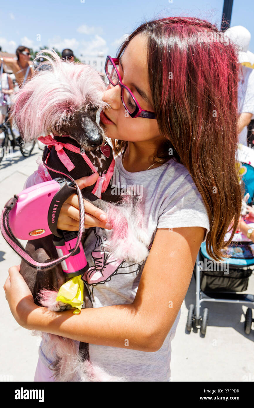 Miami Florida, Biscayne Boulevard Historic District, Cinco de MIMO Festival, Pink Pooch Parade & Contest in der Nachbarschaft, hispanische Frau weibliche Frauen, Kostüm Stockfoto