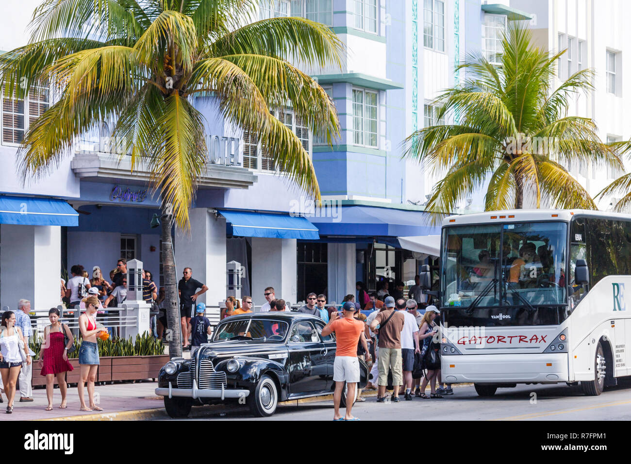 Miami Beach Florida, historische Architektur, Ocean Drive, Reisebus, Reisebus, Reisebus, Charter, Gatortrax, Park Central, Hotelhotels, Motel Motels, Erwachsener Stockfoto