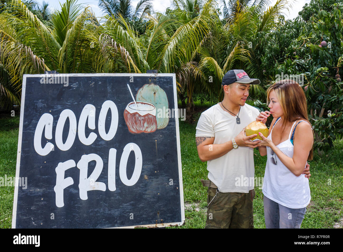 Miami Florida, Davie, Bob Roth's New River Groves, Obststand am Straßenrand, lokale Produkte, Schild, Coco frio, spanische Sprache, zweisprachig, kaltes Kokosnusswasser, asiatisch Stockfoto