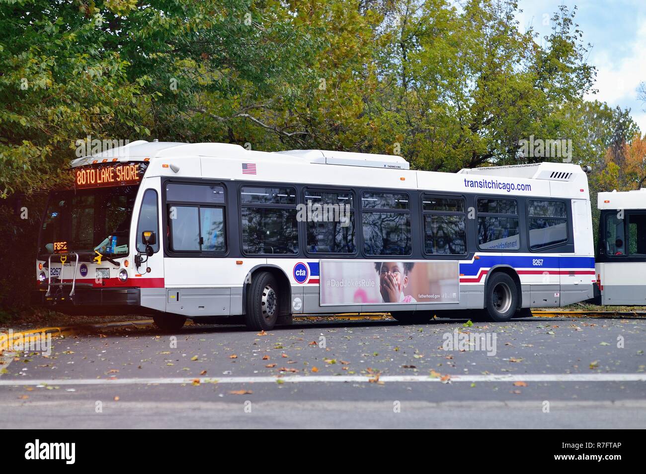 Chicago, Illinois, USA. CTA-Busse am Ende der Route warten eine Rückreise am westlichen Rand der Stadt auf Irving Park Road zu machen. Stockfoto