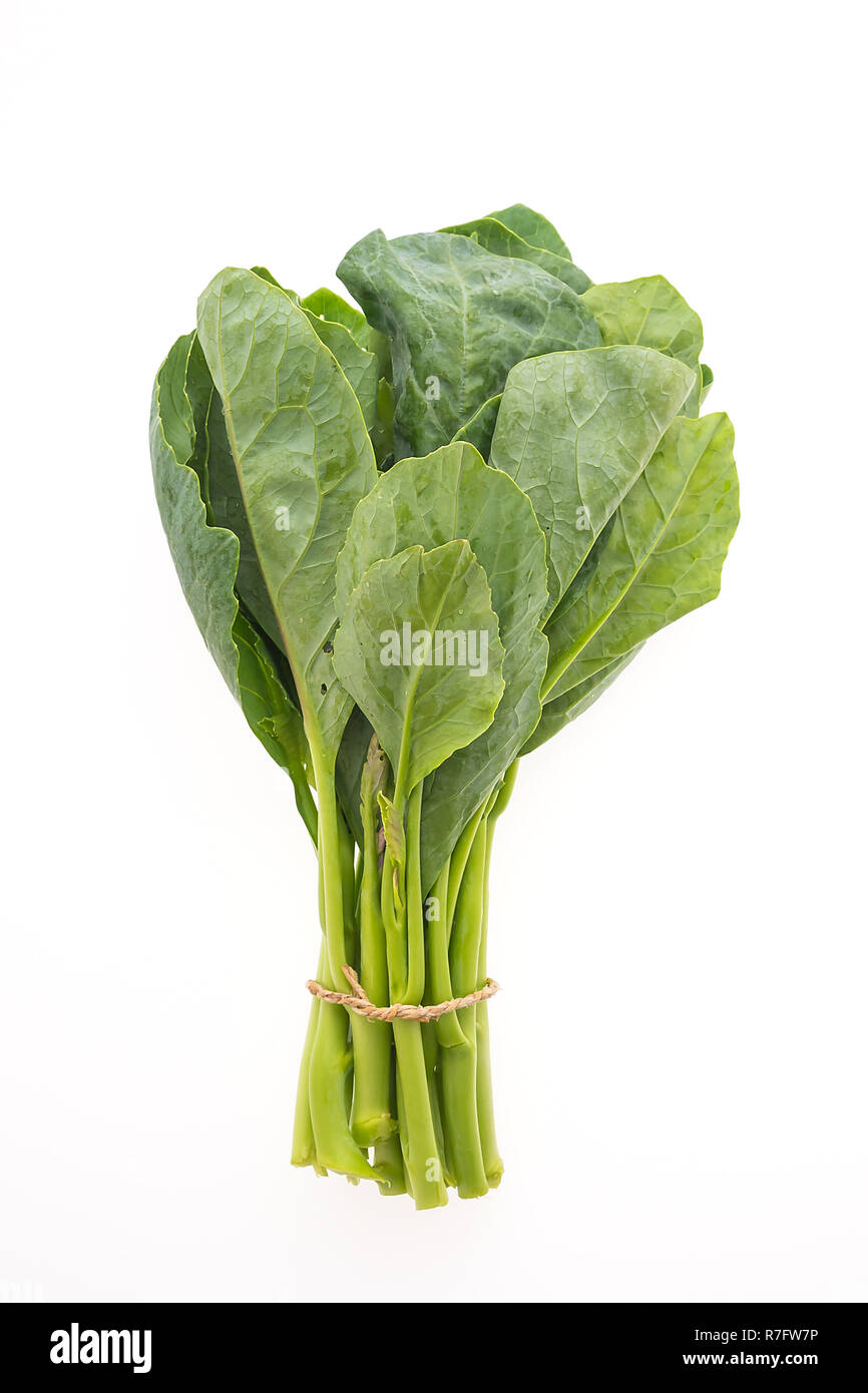 Chinesischer Brokkoli Gemüse auf weißem Hintergrund Stockfoto