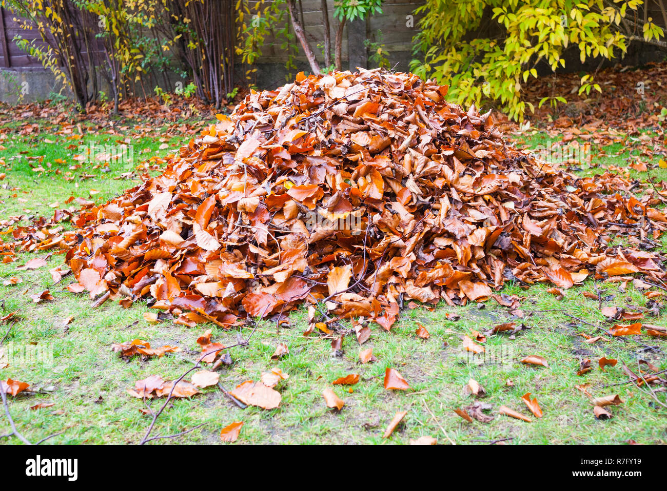 Stapel der Blätter im Herbst in einem Englischen Garten, UK. Stockfoto