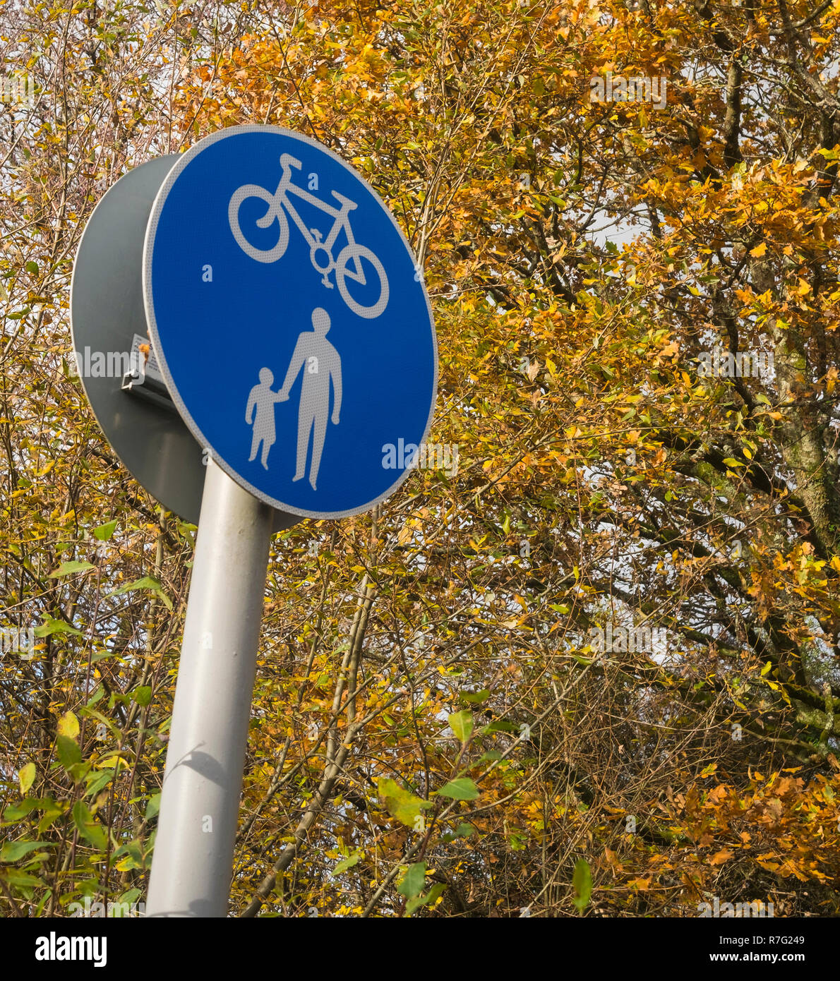 Rad- und Wanderweg im Herbst Nummer 3733 Stockfoto