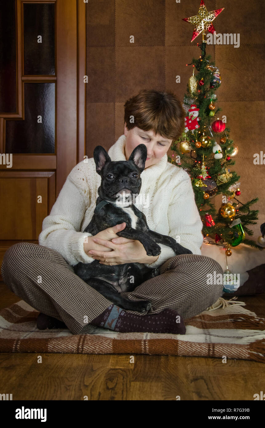 Froehlich Umarmungen, Hug schwarz, aktive Französische Bulldogge. Glückliche Frau blickt in die pet, Zimmer Hund. smile Hundebesitzer, in der Nähe von Weihnachten Baum. Hundeliebhaber sitzen in Lotus Position an Neujahr Stockfoto