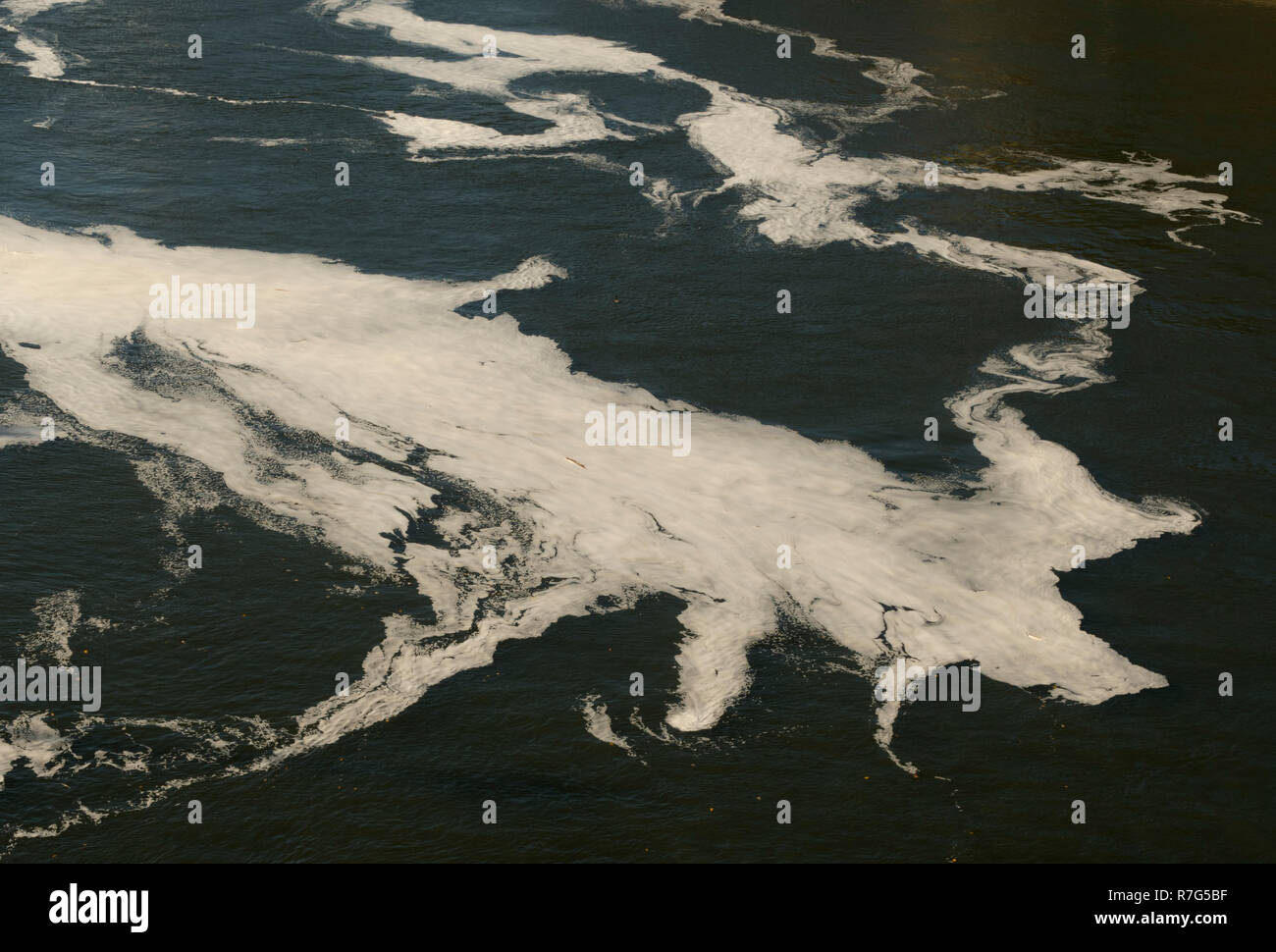 Schaum Muster, Willamette River, Oregon Stockfoto