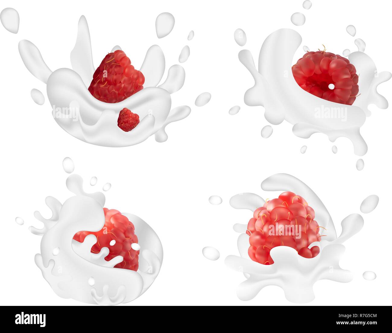 Festlegen von realistischen Milch spritzt zusammen mit Himbeeren vor einem weißen Hintergrund isoliert. Vector Illustration. Stock Vektor