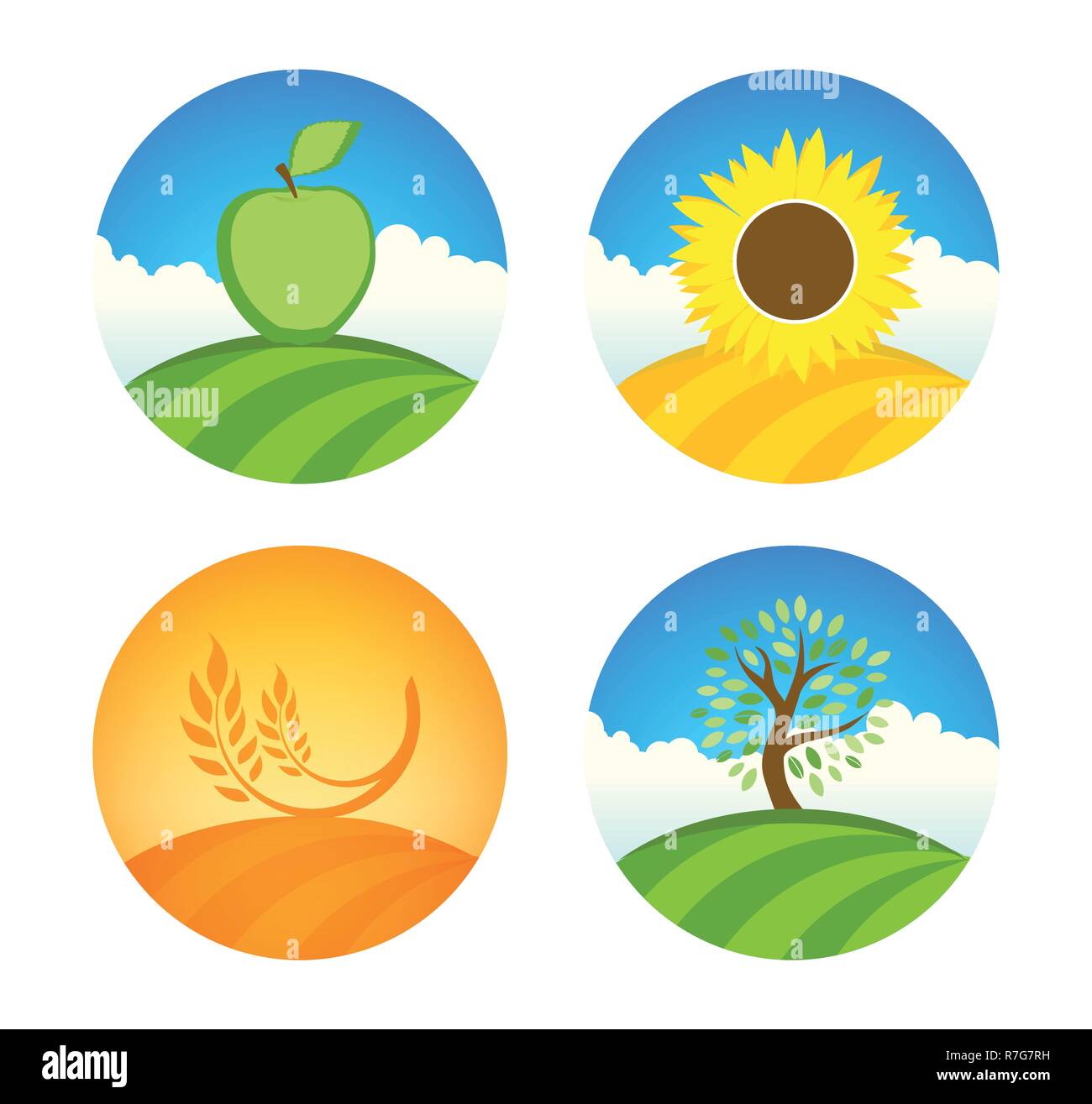 Vektor Logos mit Apple, Sonnenblumen und Weizen natur Bauernhof Ernte auf bunte runde Abbildung isoliert auf Weiss. Stock Vektor