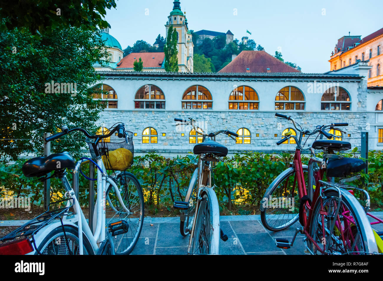 Blick auf die Straße und die Burg. Stockfoto