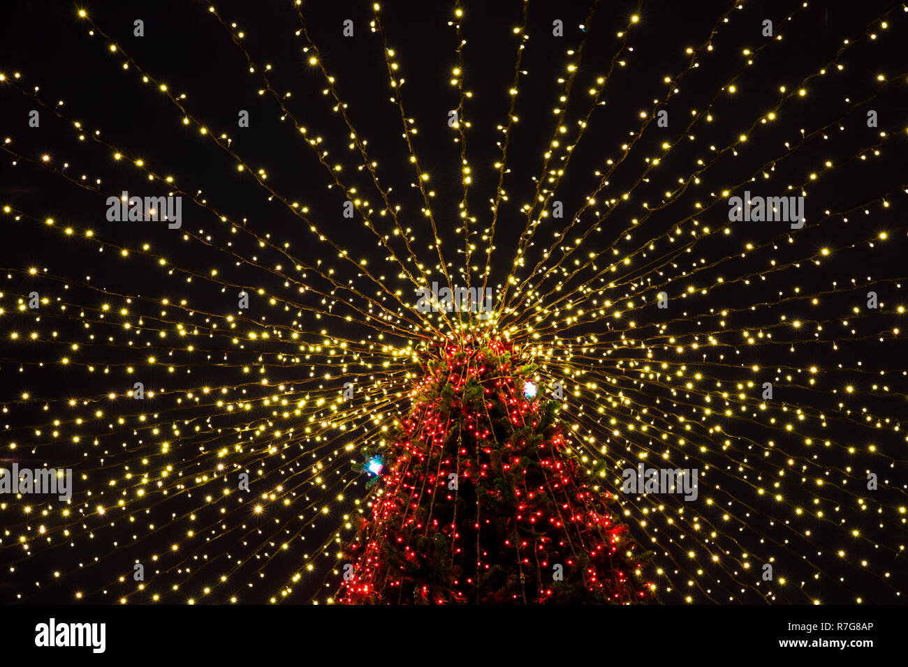 Beleuchtete Weihnachten Baum Stockfoto