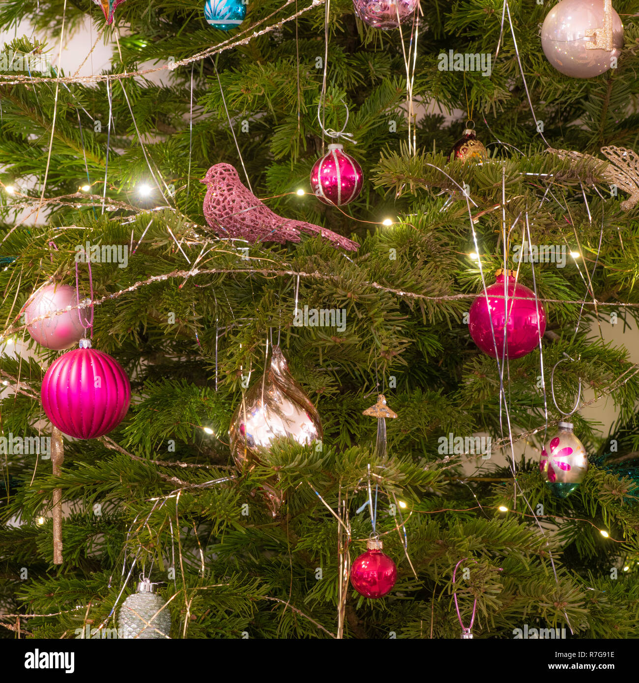 Kugeln auf echten Weihnachtsbaum. Stockfoto