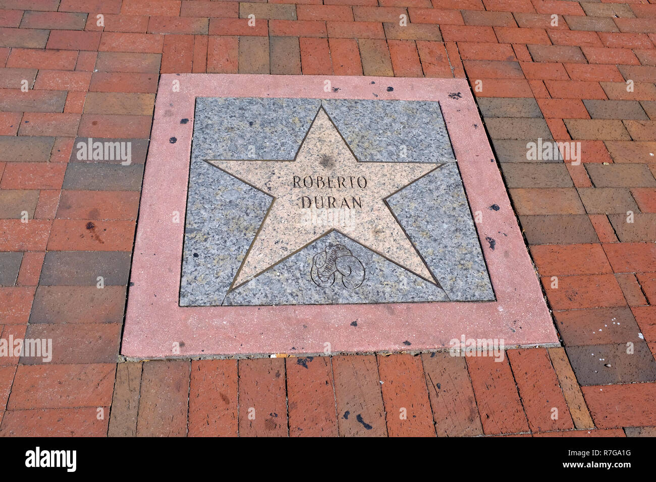 Sterne für Roberto Duran in der Calle Ocho Walk of Fame in Little Havana, Miami, Florida Stockfoto