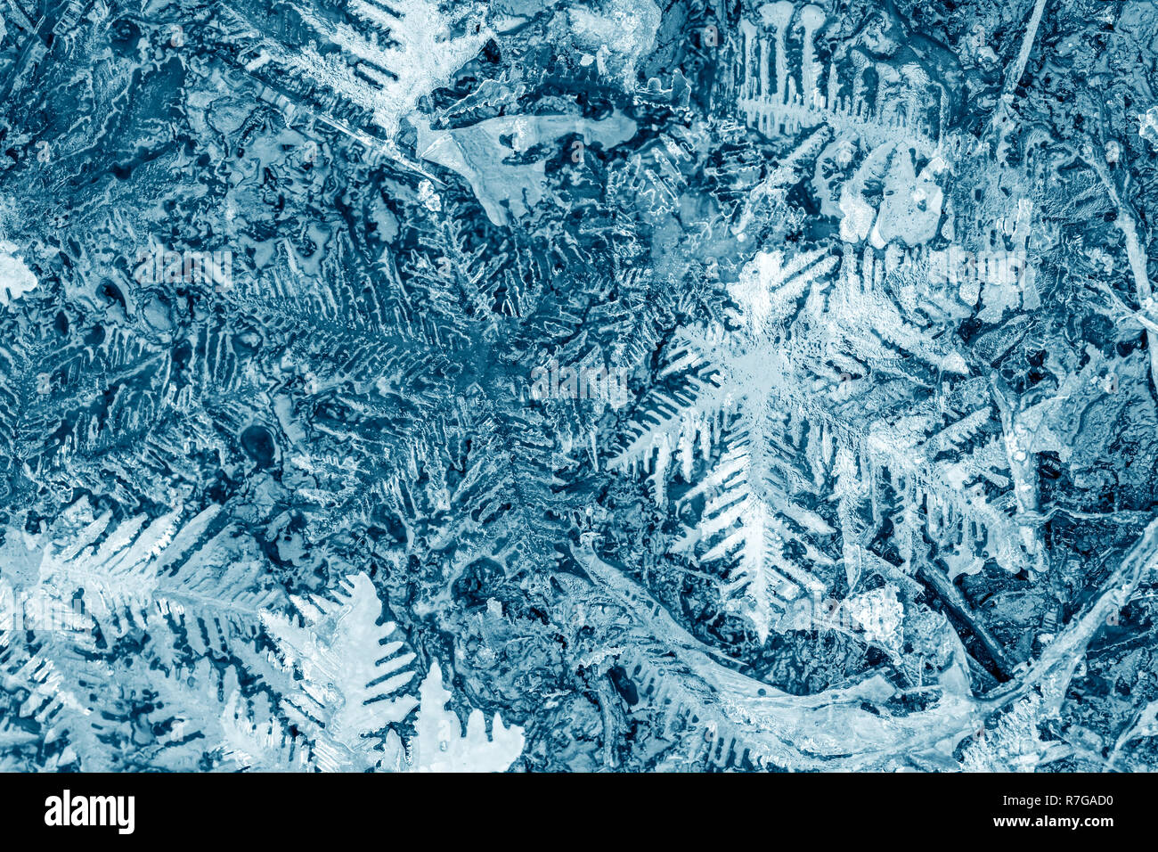 Schnee Textur mit detaillierten Schneeflocken. makroaufnahme von echten Schnee Kristalle Stockfoto