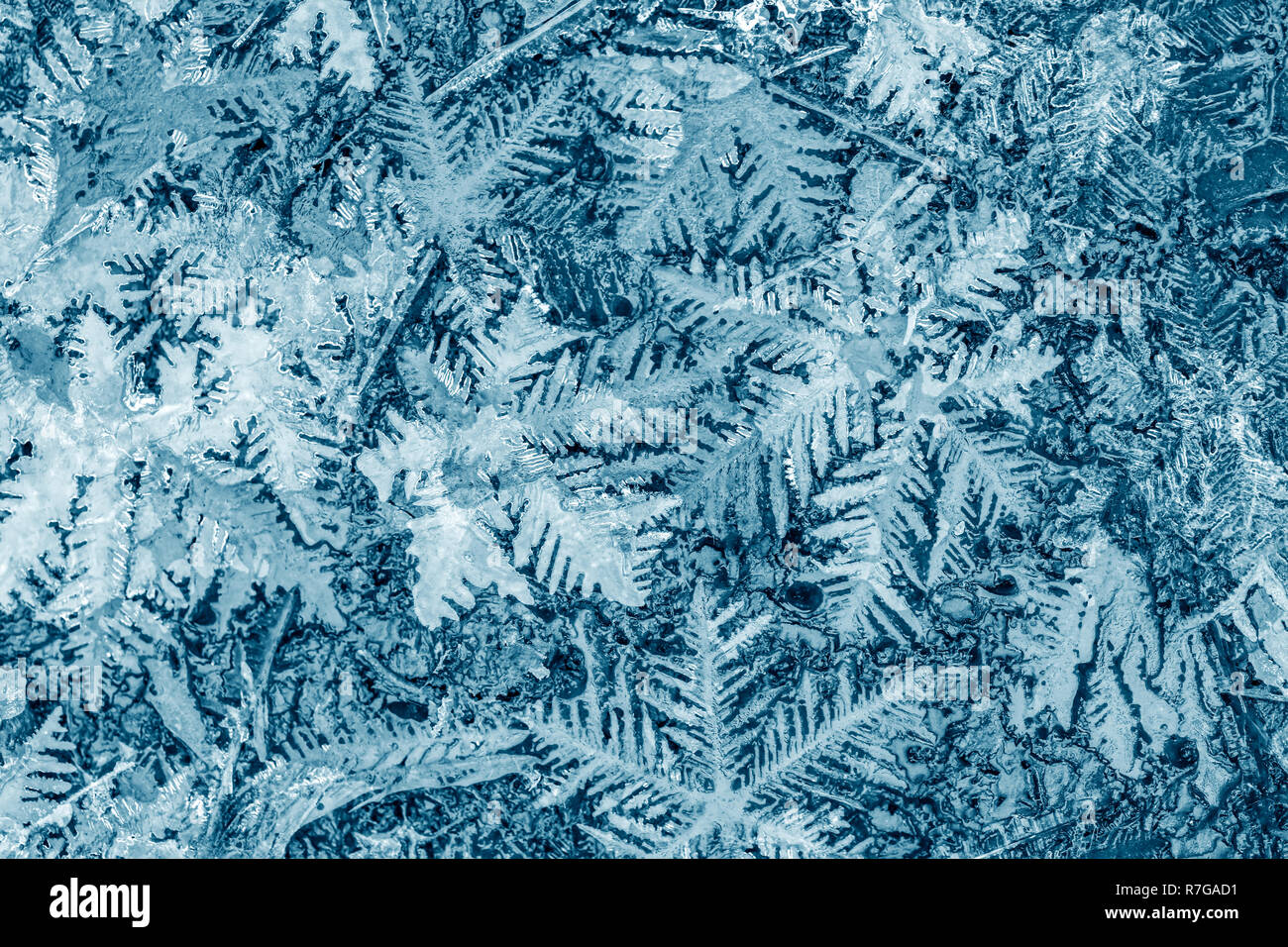 Schöne festliche frosty Muster mit Schneeflocken auf blauem Hintergrund Stockfoto