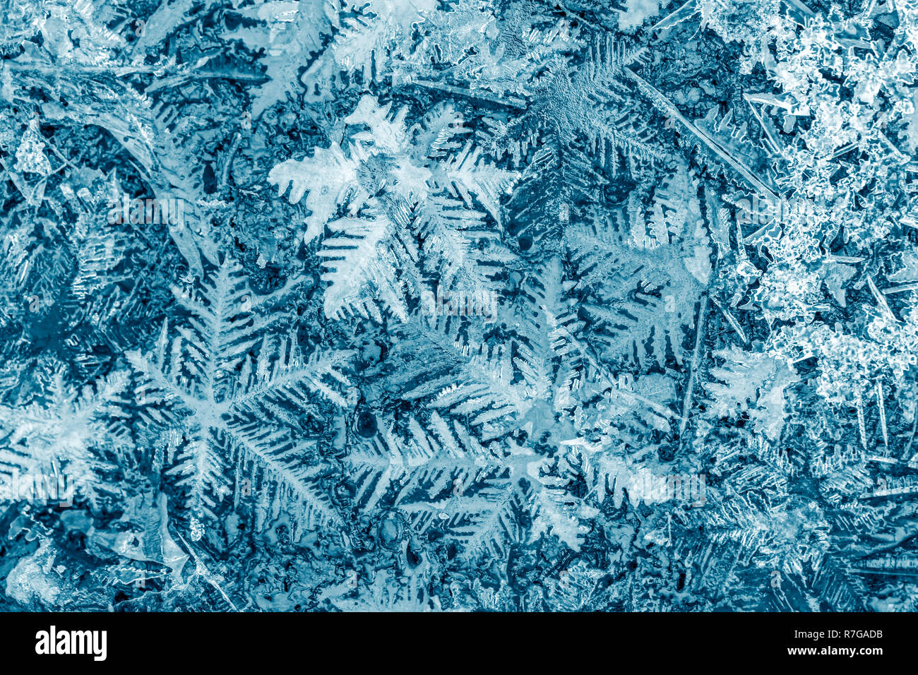 Schneeflocken Kristalle makro Bild. schönen Winter und Weihnachten Hintergrund Stockfoto