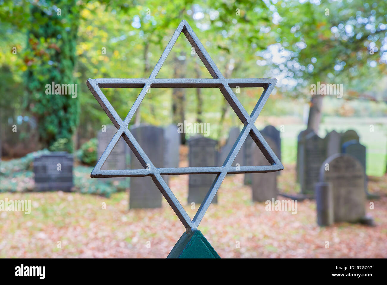 Jüdische Friedhof mit David stern und Bäume Stockfoto