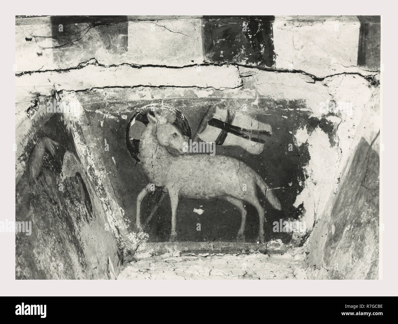 Toskana Siena Asciano Casa Corboli, dies ist mein Italien, die italienische Land des Visual History, weltliche Gebäude aus dem 13.-14. Jh.. Im Oratorium sind Fresken aus dem 4 Jahreszeiten und andere weltliche Szenen. Antiquitäten 2. polychrome Mosaik, mascaron oder mögliche Brunnen. Zwei Pflaster Mosaiken im Untergeschoss des Gebäudes. Sie haben geometrische Muster mit verknüpften Kreisen und pflanzliche Rosetten. Vier Stern, Dreieck und Zunge und Dart Motive sind in der Grenze entfernt. Plätze, die von Solomon's Knoten verknüpft. Zunge und Dart Stockfoto