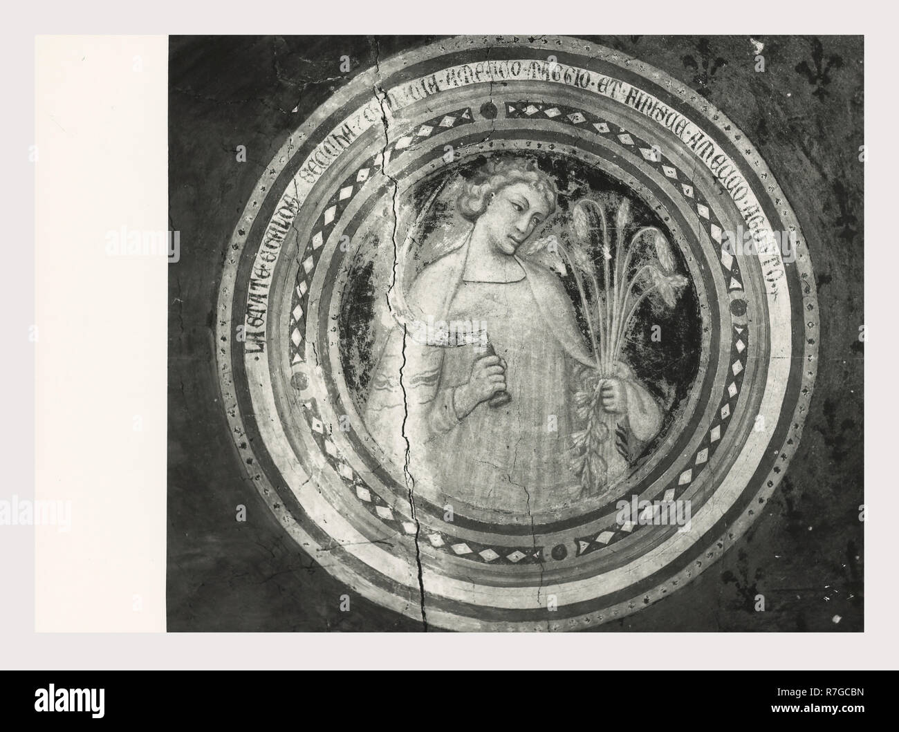 Toskana Siena Asciano Casa Corboli, dies ist mein Italien, die italienische Land des Visual History, weltliche Gebäude aus dem 13.-14. Jh.. Im Oratorium sind Fresken aus dem 4 Jahreszeiten und andere weltliche Szenen. Antiquitäten 2. polychrome Mosaik, mascaron oder mögliche Brunnen. Zwei Pflaster Mosaiken im Untergeschoss des Gebäudes. Sie haben geometrische Muster mit verknüpften Kreisen und pflanzliche Rosetten. Vier Stern, Dreieck und Zunge und Dart Motive sind in der Grenze entfernt. Plätze, die von Solomon's Knoten verknüpft. Zunge und Dart Stockfoto