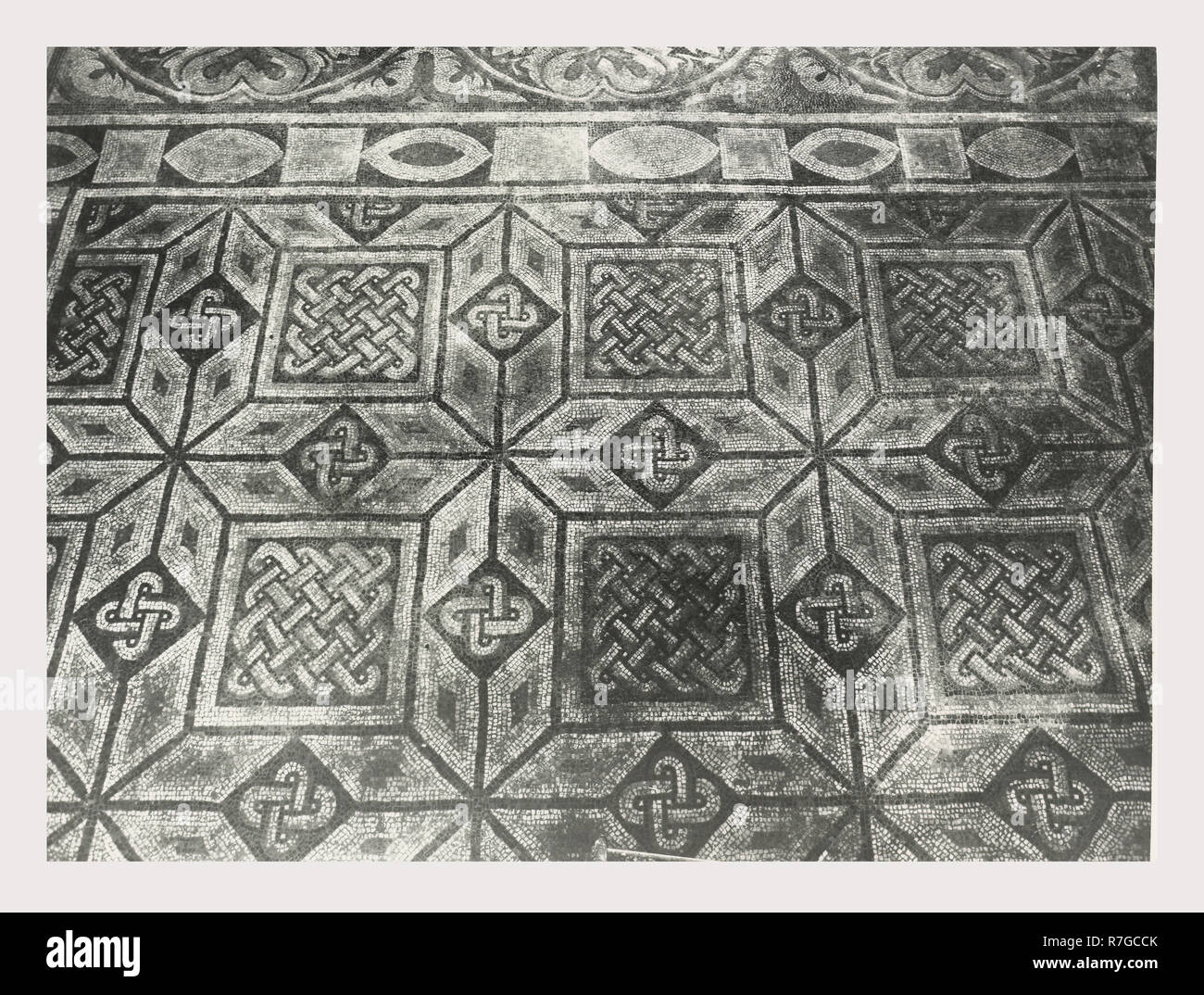 Toskana Siena Asciano Casa Corboli, dies ist mein Italien, die italienische Land des Visual History, weltliche Gebäude aus dem 13.-14. Jh.. Im Oratorium sind Fresken aus dem 4 Jahreszeiten und andere weltliche Szenen. Antiquitäten 2. polychrome Mosaik, mascaron oder mögliche Brunnen. Zwei Pflaster Mosaiken im Untergeschoss des Gebäudes. Sie haben geometrische Muster mit verknüpften Kreisen und pflanzliche Rosetten. Vier Stern, Dreieck und Zunge und Dart Motive sind in der Grenze entfernt. Plätze, die von Solomon's Knoten verknüpft. Zunge und Dart Stockfoto