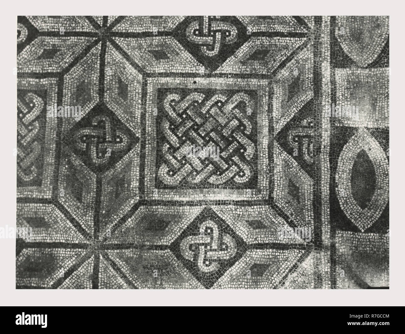 Toskana Siena Asciano Casa Corboli, dies ist mein Italien, die italienische Land des Visual History, weltliche Gebäude aus dem 13.-14. Jh.. Im Oratorium sind Fresken aus dem 4 Jahreszeiten und andere weltliche Szenen. Antiquitäten 2. polychrome Mosaik, mascaron oder mögliche Brunnen. Zwei Pflaster Mosaiken im Untergeschoss des Gebäudes. Sie haben geometrische Muster mit verknüpften Kreisen und pflanzliche Rosetten. Vier Stern, Dreieck und Zunge und Dart Motive sind in der Grenze entfernt. Plätze, die von Solomon's Knoten verknüpft. Zunge und Dart Stockfoto