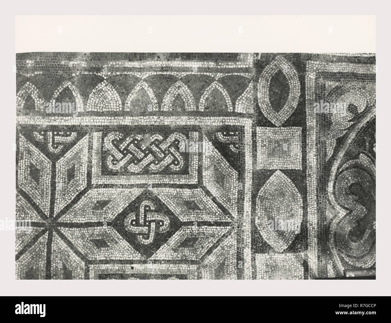 Toskana Siena Asciano Casa Corboli, dies ist mein Italien, die italienische Land des Visual History, weltliche Gebäude aus dem 13.-14. Jh.. Im Oratorium sind Fresken aus dem 4 Jahreszeiten und andere weltliche Szenen. Antiquitäten 2. polychrome Mosaik, mascaron oder mögliche Brunnen. Zwei Pflaster Mosaiken im Untergeschoss des Gebäudes. Sie haben geometrische Muster mit verknüpften Kreisen und pflanzliche Rosetten. Vier Stern, Dreieck und Zunge und Dart Motive sind in der Grenze entfernt. Plätze, die von Solomon's Knoten verknüpft. Zunge und Dart Stockfoto