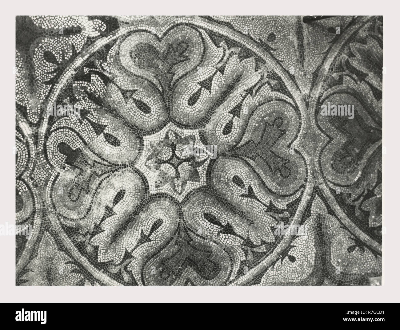 Toskana Siena Asciano Casa Corboli, dies ist mein Italien, die italienische Land des Visual History, weltliche Gebäude aus dem 13.-14. Jh.. Im Oratorium sind Fresken aus dem 4 Jahreszeiten und andere weltliche Szenen. Antiquitäten 2. polychrome Mosaik, mascaron oder mögliche Brunnen. Zwei Pflaster Mosaiken im Untergeschoss des Gebäudes. Sie haben geometrische Muster mit verknüpften Kreisen und pflanzliche Rosetten. Vier Stern, Dreieck und Zunge und Dart Motive sind in der Grenze entfernt. Plätze, die von Solomon's Knoten verknüpft. Zunge und Dart Stockfoto