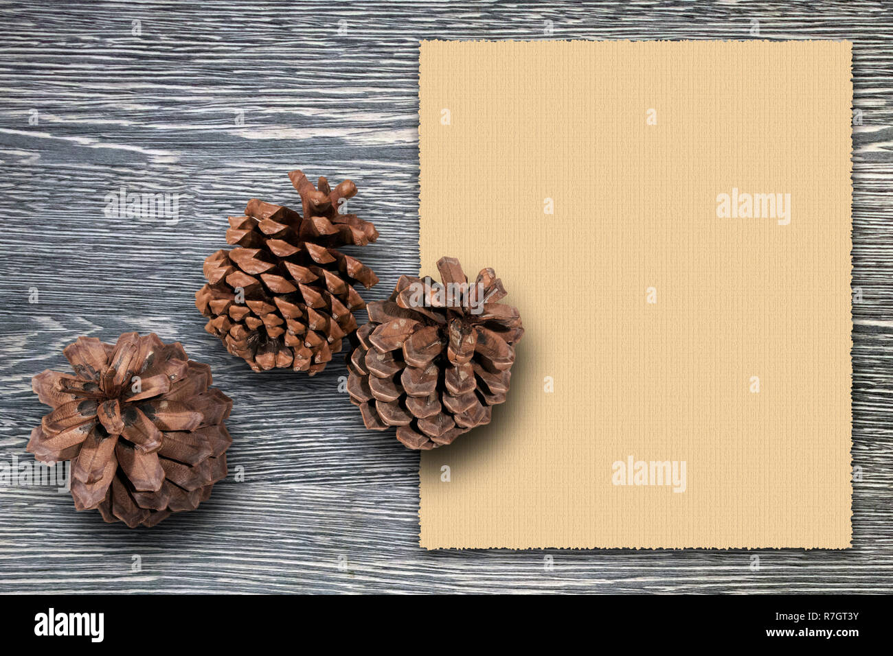 Weihnachten Grußkartenvorlage mit drei Zeder Lagerinnenringe gegen Grau Holzbrett und leeren vintage Blatt Papier für Ihren Text Stockfoto