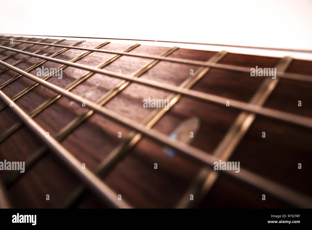 Palisander bass guitar fret Board und Streicher mit Hintergrundbeleuchtung closeup Stockfoto