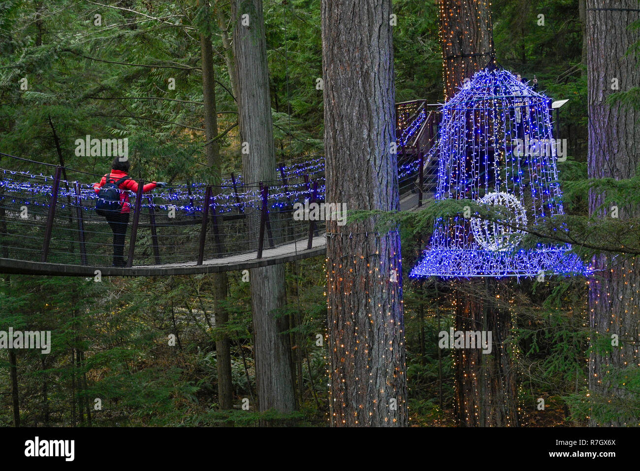 Treetops Adventure und Canyon Lichter, Capilano Suspension Bridge Park, North Vancouver, British Columbia, Kanada Stockfoto