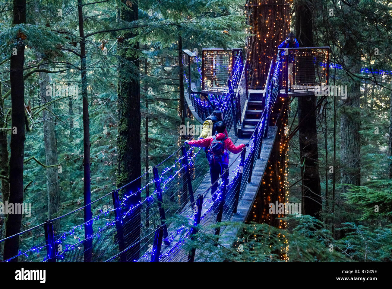Treetops Adventure und Canyon Lichter, Capilano Suspension Bridge Park, North Vancouver, British Columbia, Kanada Stockfoto