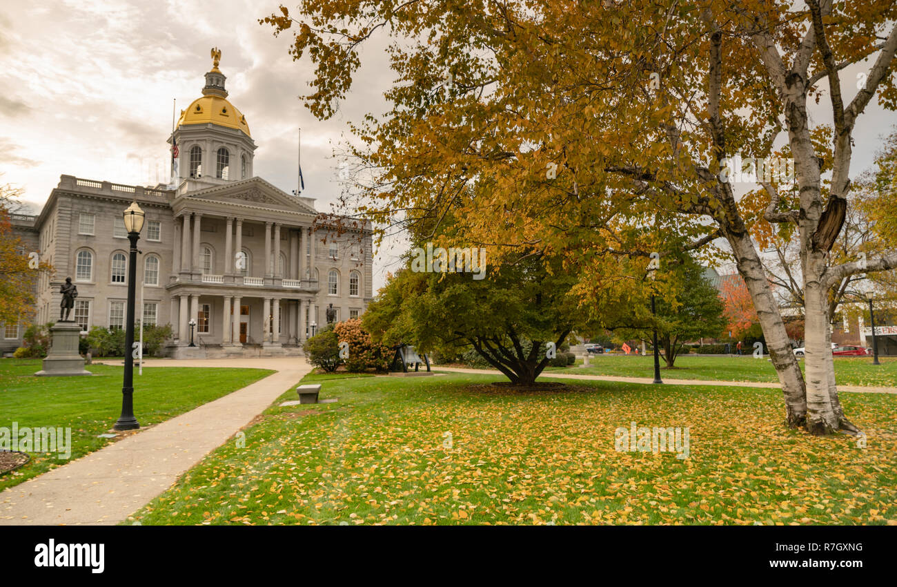 Fallen Blätter auf dem Rasen an der Landeshauptstadt Gebäude von New Hampshire an der Übereinstimmung Stockfoto