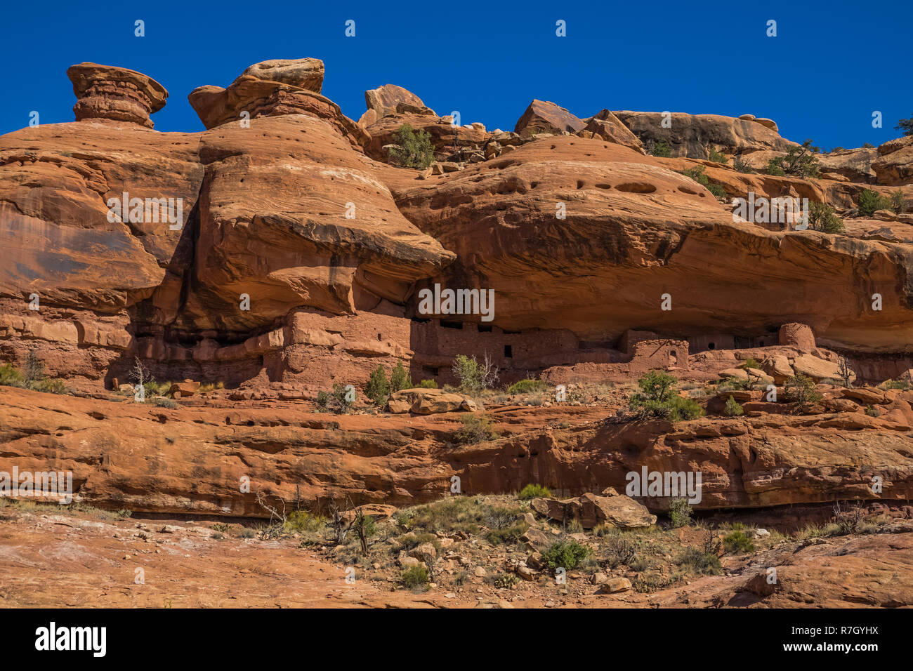 Moon House Ruin auf Cedar Mesa, einst Teil der Bären Ohren National Monument, Utah, USA Stockfoto
