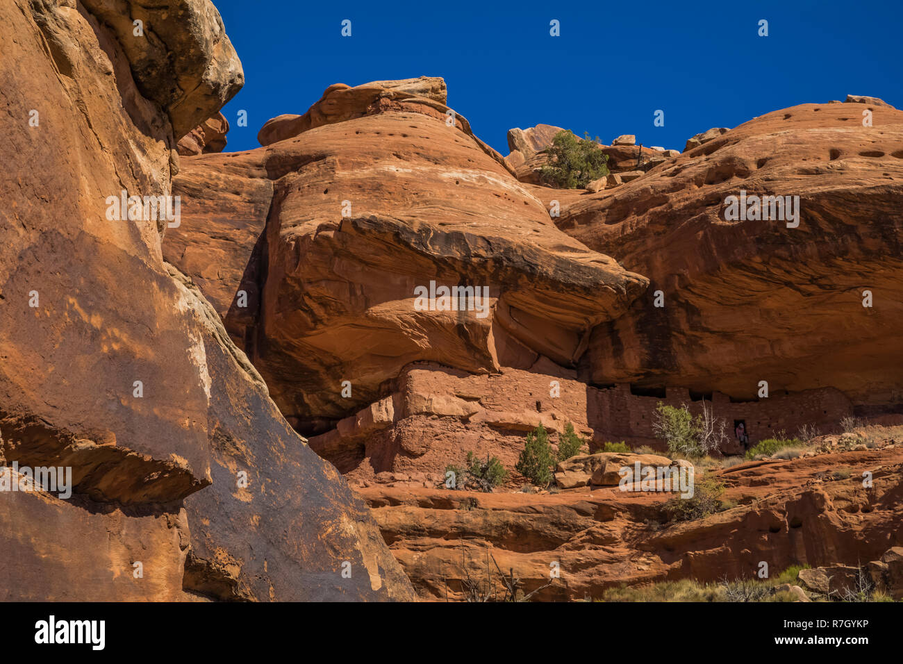 Moon House Ruin auf Cedar Mesa, einst Teil der Bären Ohren National Monument, Utah, USA Stockfoto