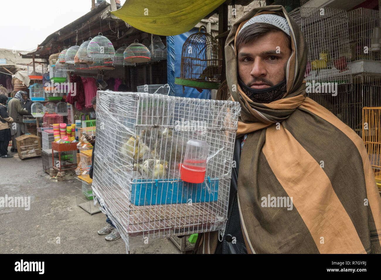 Bazaari Mann mit den Vögeln in einem Käfig im Bird's Bazaar, Kabul, Afghanistan, Kabul Provinz Stockfoto