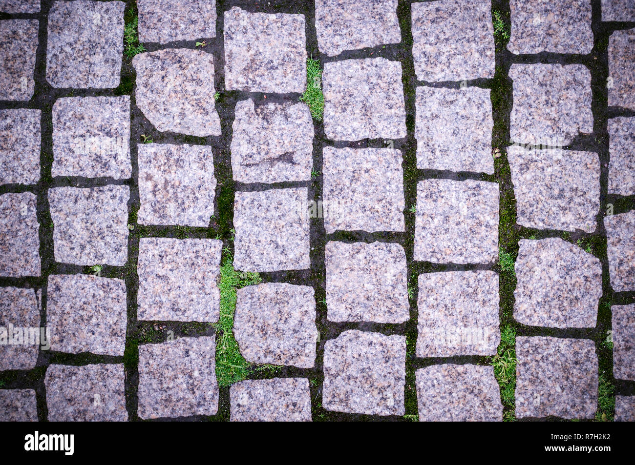 Stein Gehweg Pflaster mit Gras im Park. Vignette, Hintergrund, Textur. Stockfoto