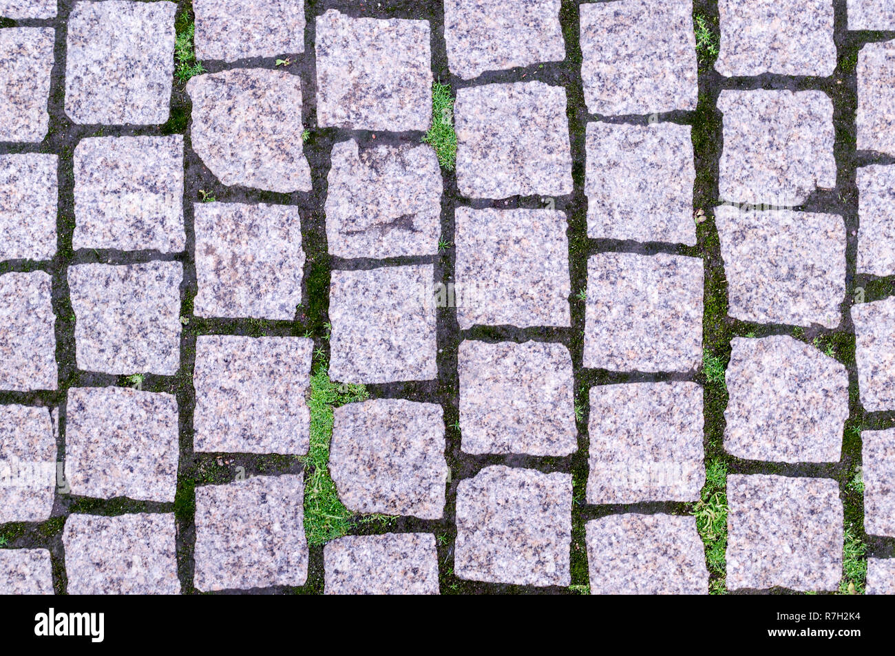 Stein Gehweg Pflaster mit Gras im Park. Hintergrund, Textur. Stockfoto