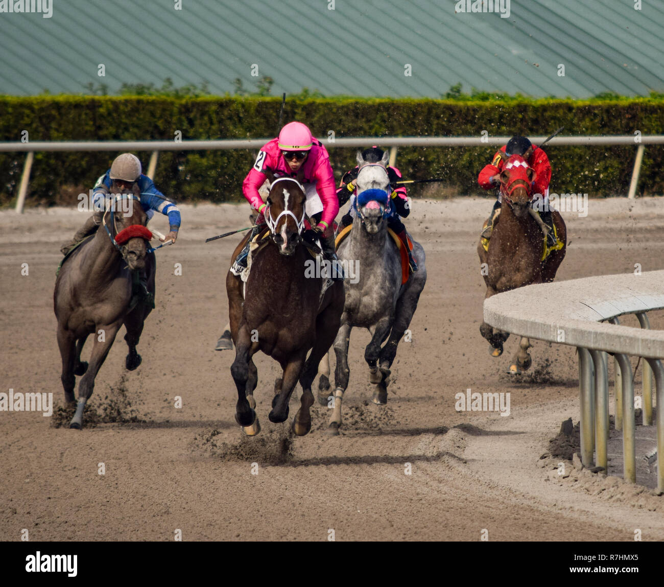 Hallandale Beach, Florida, USA. 8 Dez, 2018. Dezember 8, 2018: #2 Mishegas und Irad Ortiz, Jr., an Bord für Puerto Rico, gewinnen die International Cup Einsätze (schwarz Art) während der Classic del Caribe bei Gulfstream Park am 8. Dezember 2018 in Hallandale Beach, FL. (Foto von Damon Belastung/Eclipse Sportswire/CSM) Credit: Csm/Alamy leben Nachrichten Stockfoto