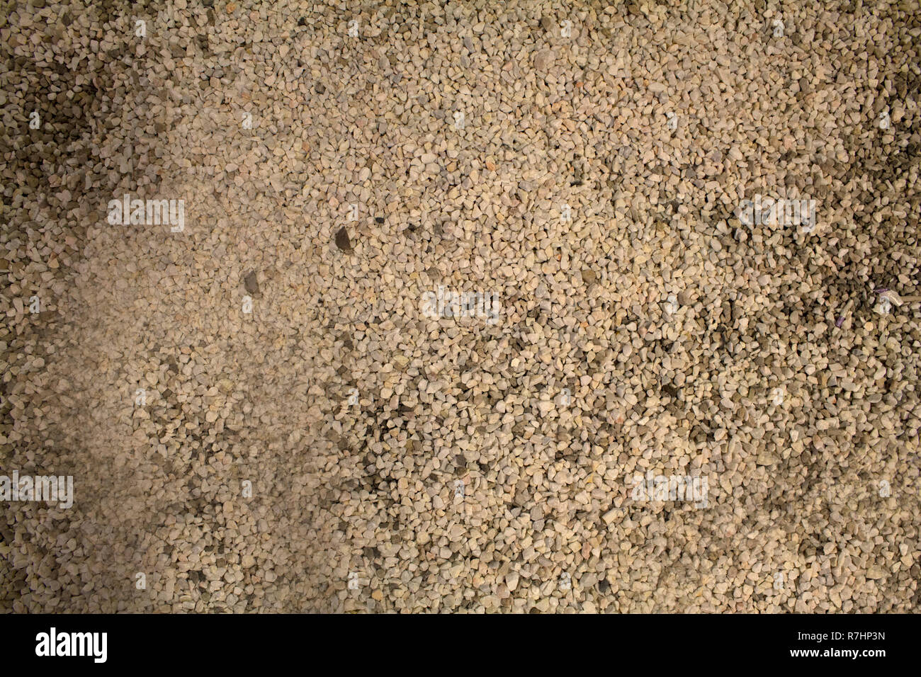 Sand Textur mit Kieselsteinen. Stockfoto