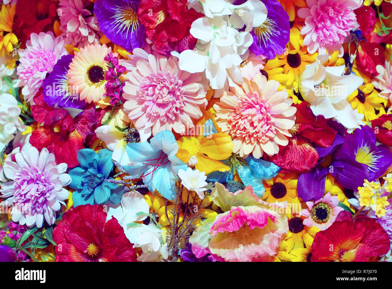 Bunte Blumen Hintergrund Stockfotografie - Alamy