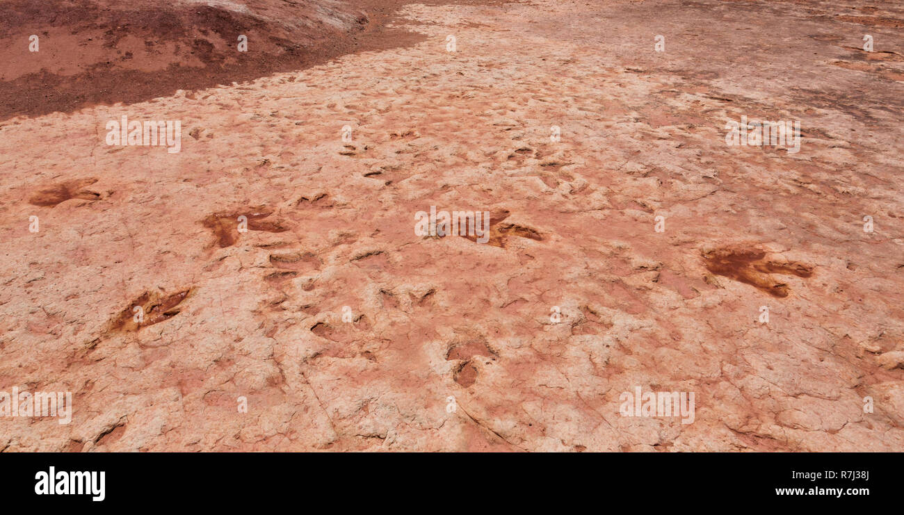 Moenkopi Dinosaurierspuren Diese dinosaurierspuren in der frühen Kreidezeit gebildet wurden, etwa 200 Millionen Jahren und wurden verifiziert von Stockfoto Moenkopi Dinosaurierspuren Diese dinosaurierspuren in der frühen Kreidezeit gebildet wurden, etwa 200 Millionen Jahren und wurden verifiziert von Stockfoto